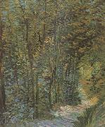 Vincent Van Gogh Path in the Woods (nn04) oil painting reproduction